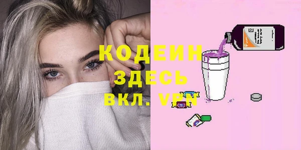 таблы Бородино