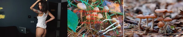 мет Бронницы