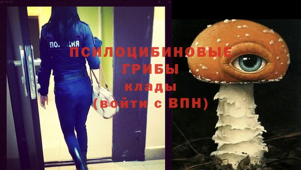 jwh Верея
