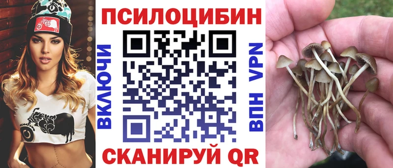 Галлюциногенные грибы ЛСД  Купить закладки  Лагань 
